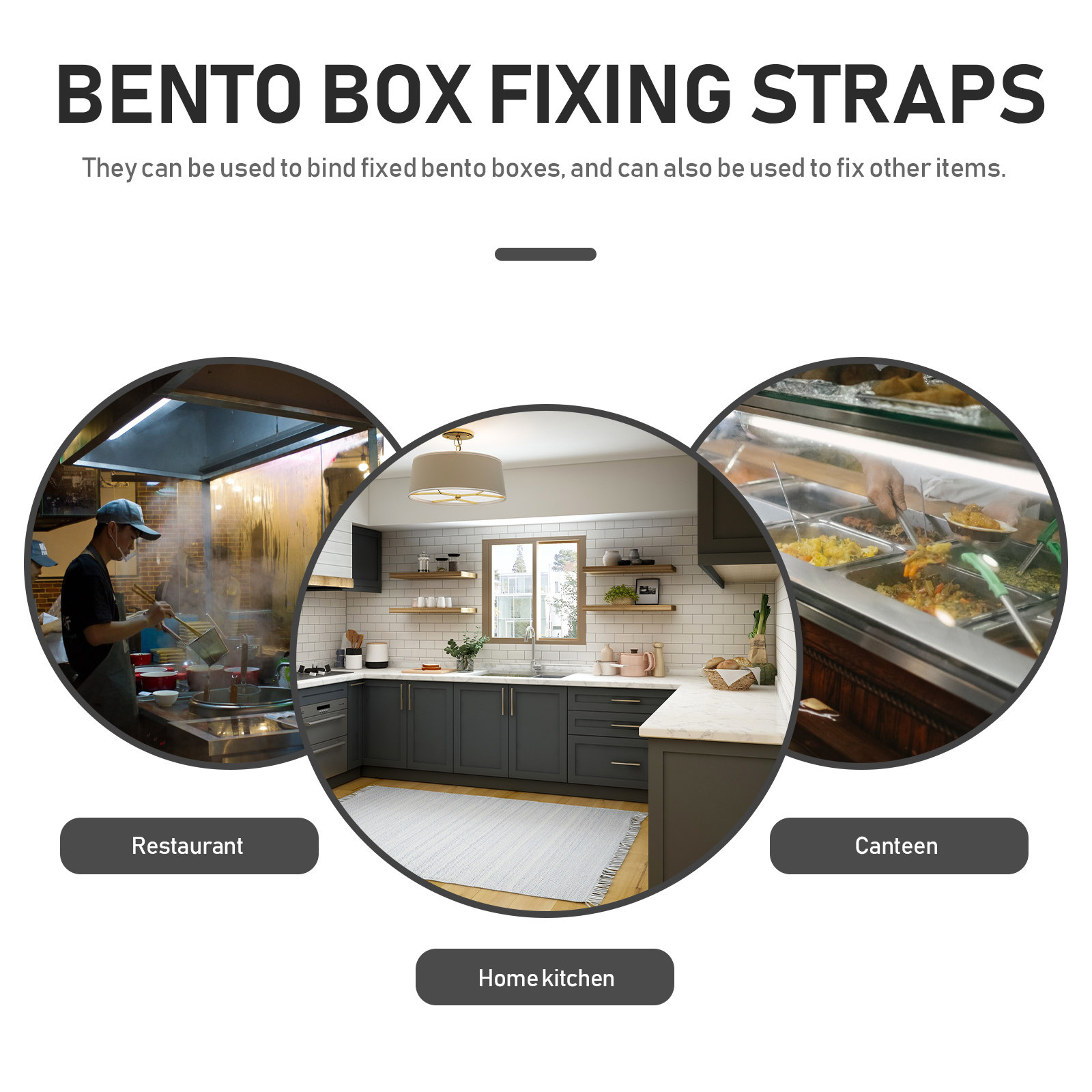 12 pezzi di cinghie elastiche  - Bento Box recensione e prezzo